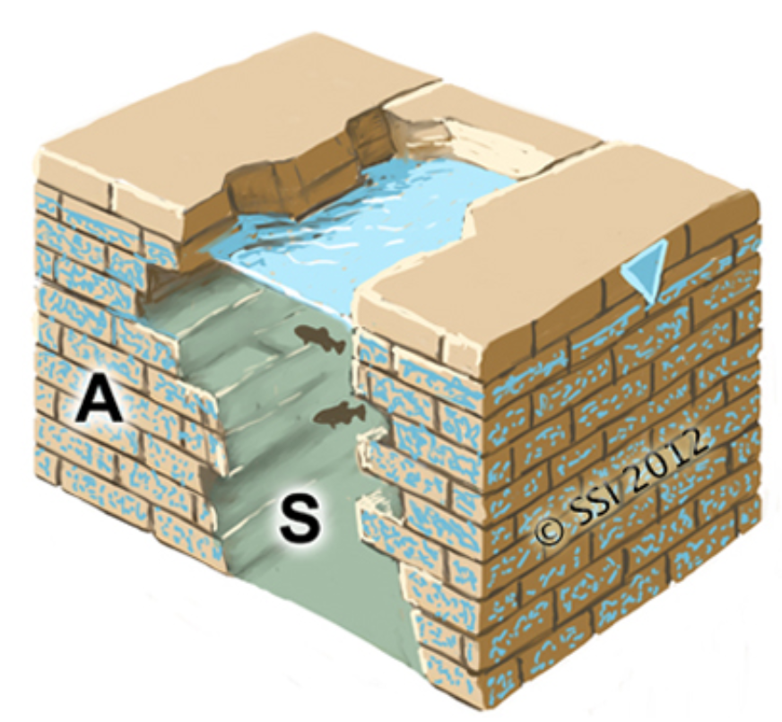 Other typologies, if you are still interested:8. Exposure: Sinkholes with unconfined aquifer exposed9. Gushet: A stream flowing out of a cliff wall of a perched, unconfined aquifer10. Hypocrene: Very Low discharge where flow does not reach the surface, supports vegetation+