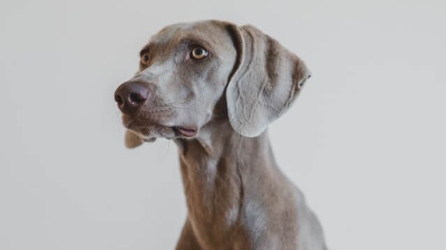 didn’t have friends in high school. was scouted by a modeling agent in the mall senior year. lives under a new name in New York, fueled by spite, living off black coffee and elegance