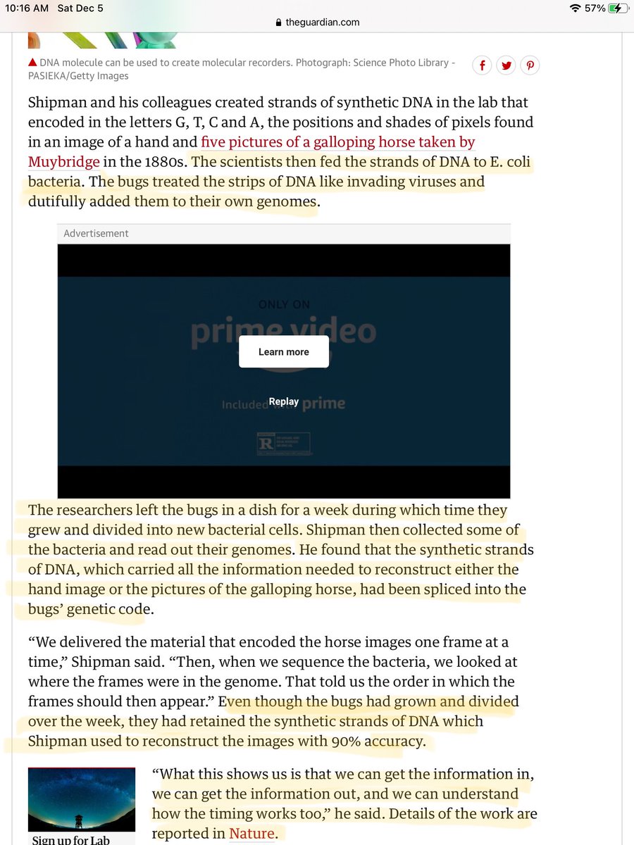 This is from the Guardian article: