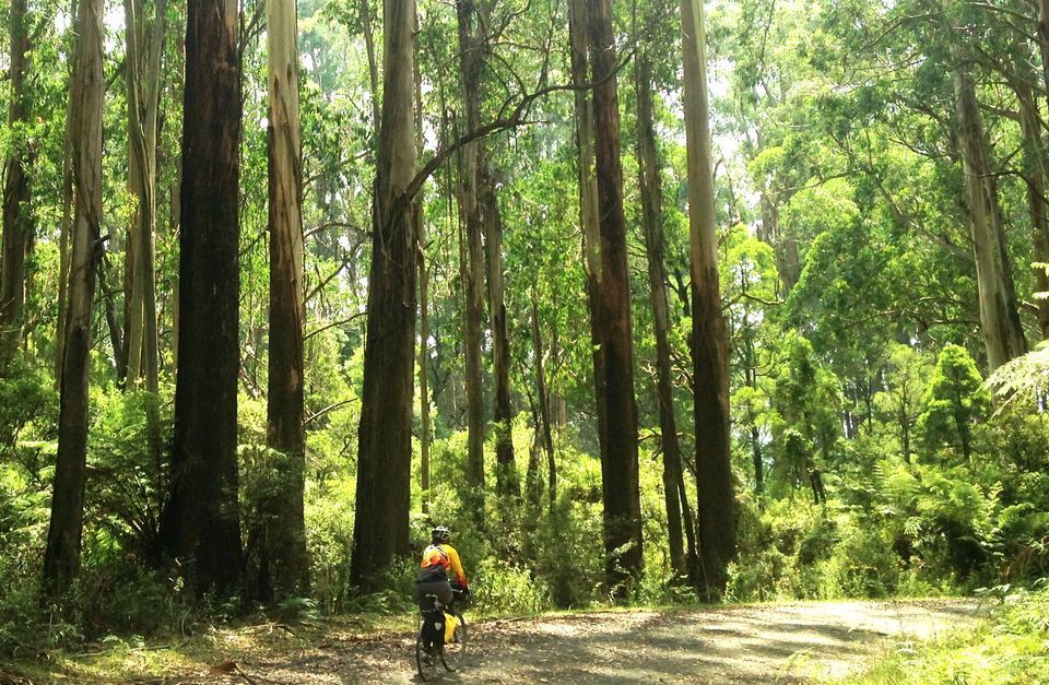 Need a break from the Melbourne city Life? Check out these top Victorian bicycle tour options for a restorative Australian getaway. 🚲 buff.ly/2UQO3j1