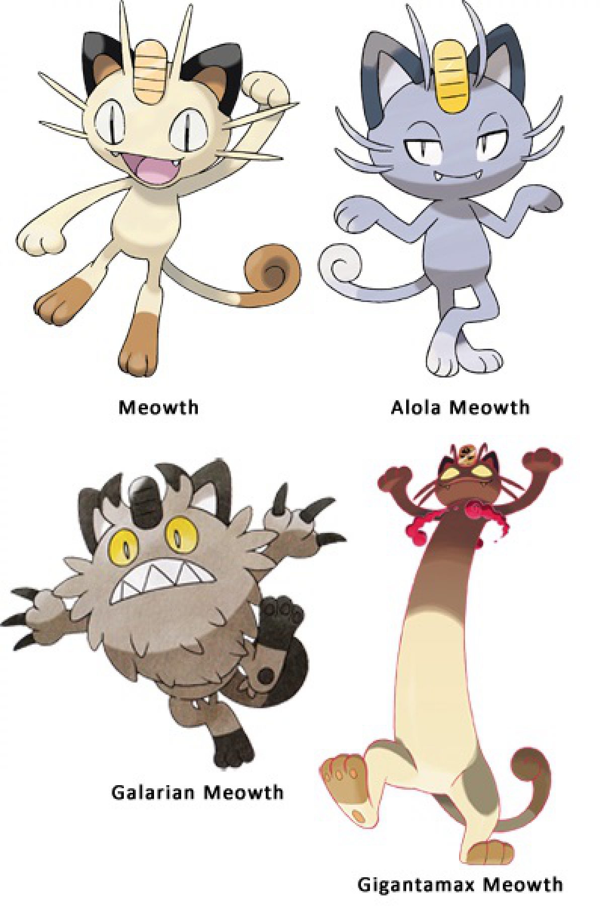 Pokemon Meowth Evolution Chart