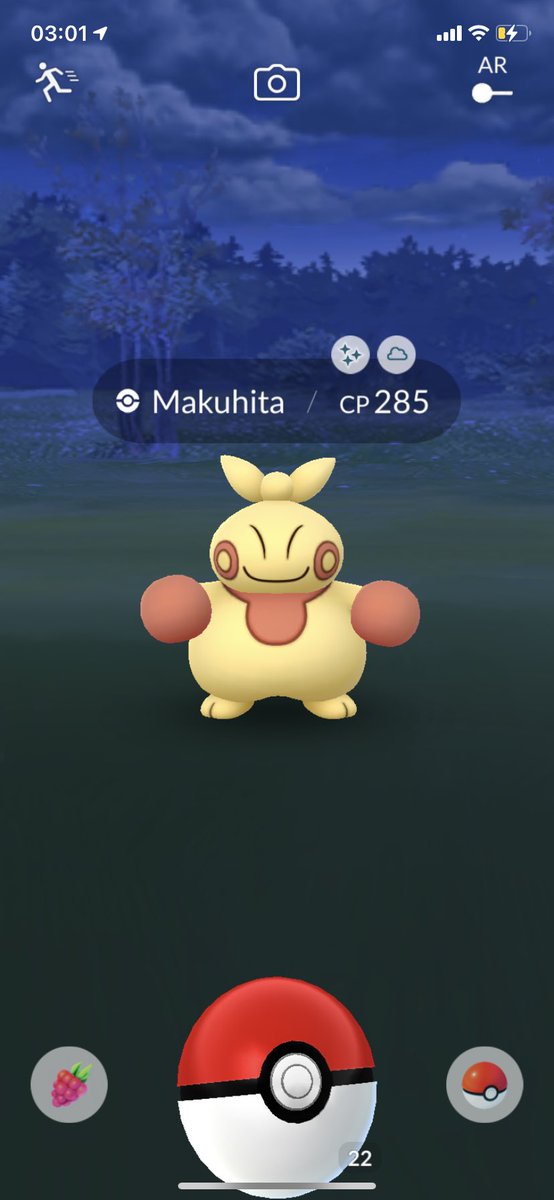 Always check Pokémon Go before sleep