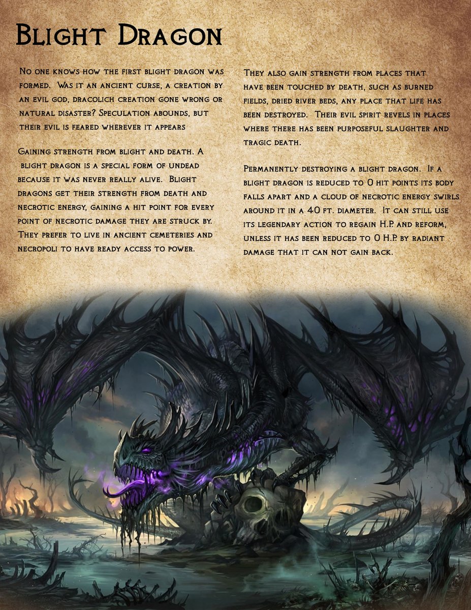 Nat21Adventures tweet media