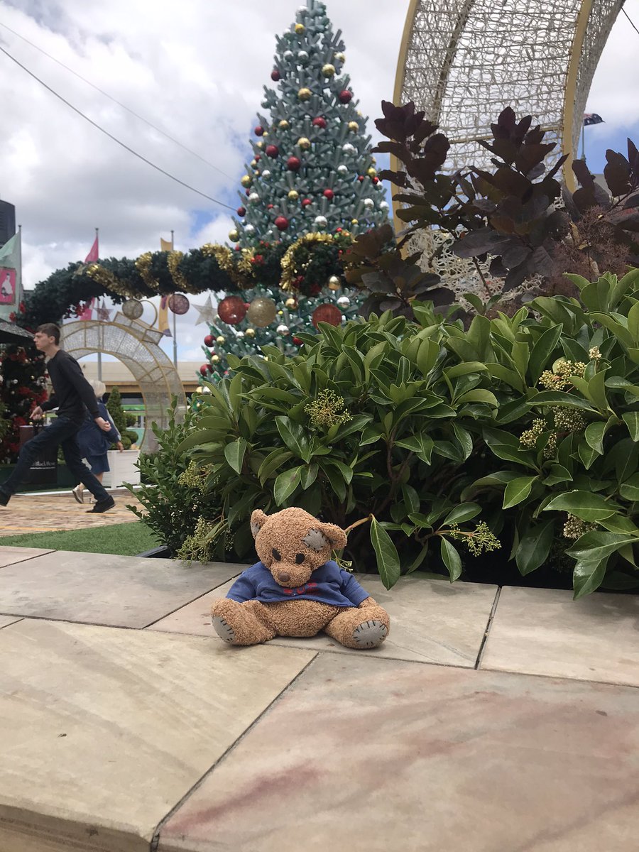 RennisonKate's tweet photo. @communitypresch Travelling Ted has been getting into the festive spirit @FedSquare in #Melbourne It certainly feels different to UK Christmas time #travellingteddownunder https://t.co/x3kfGHhacU