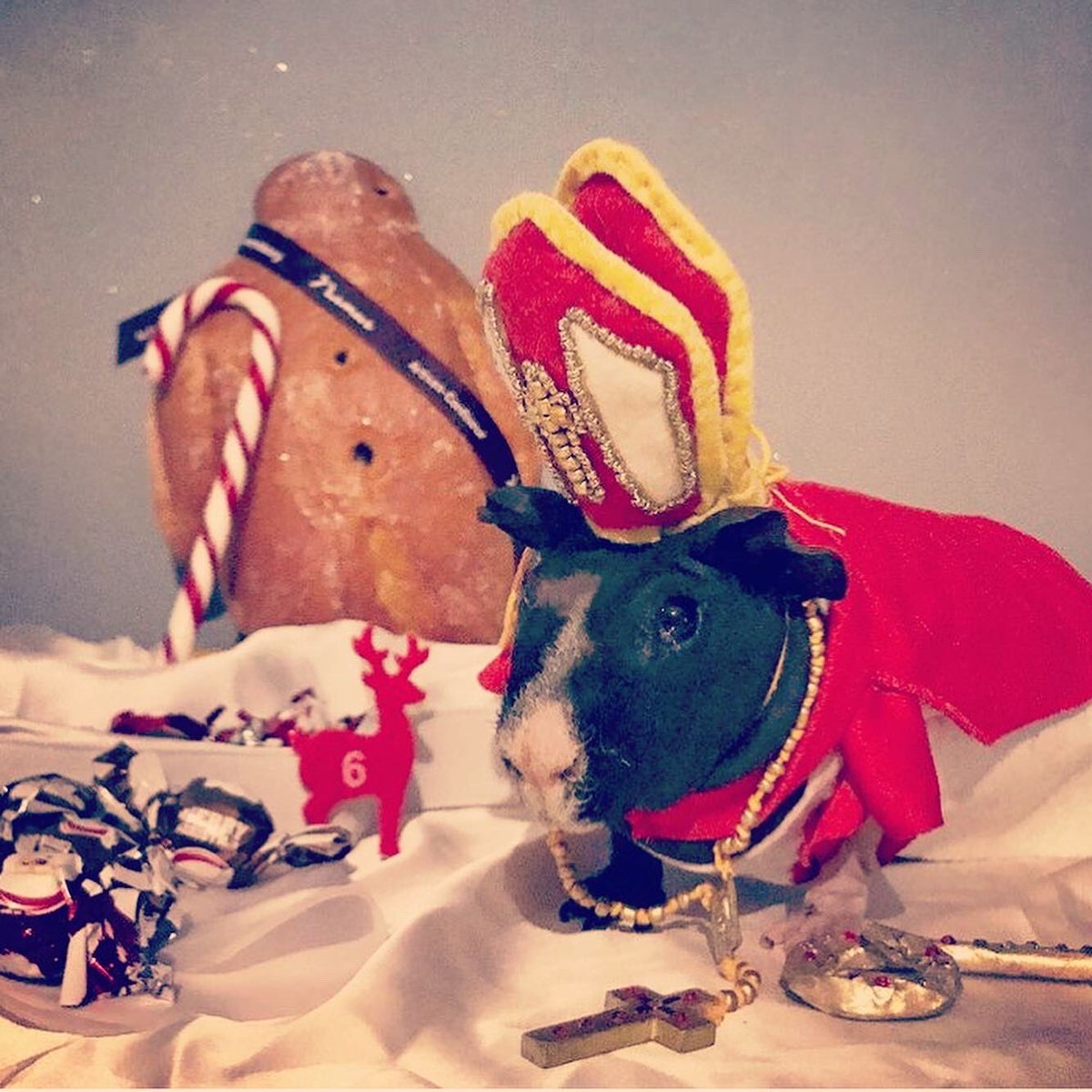 SwaggyZippy's tweet photo. Jour 6 ! C’est la Saint Nicolas !!!
#SaintNicolas #manele #brioche #boxemannchen #decembre #fete #guineapig https://t.co/GLd6C0z1Nf