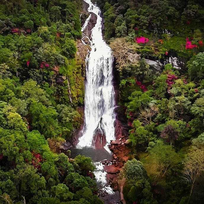 IndiaPlaces's tweet photo. #HebbeFalls is situated at about 10 km away from the famous hill station #Kemmangundi in #Karnataka, India. This #waterfalls is inside a coffee estate and can be reached either by walk or four-wheeler. #Hebbe Falls gushes down from a height of 551 ft in … https://t.co/coRy4wrRcs https://t.co/BKBEzBIJ9z