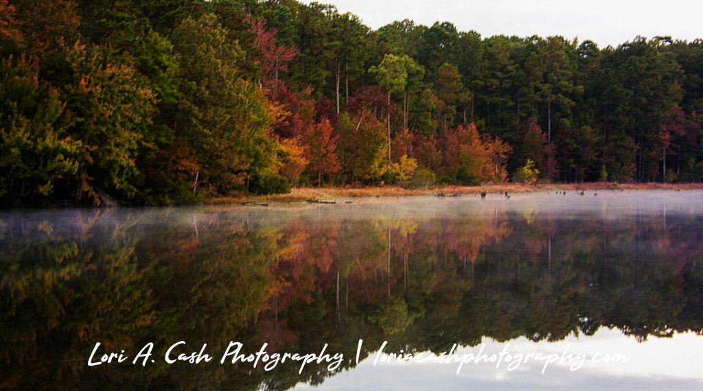 Fall colors along the Lee Hall Reservoir on a cloudy day at Newport News Park in Newport News, Virginia. #fallinvirginia #virginiafallcolors #landscapephotography #fallcolors #fall #Autumn  #fallfoliage
