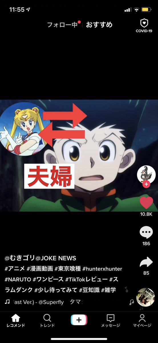 たつま ハンターハンター Hunterxhunter アニメ好きな人と繋がりたい セーラームーン まさか富樫先生と武内先生が結婚してたなんて初めて知った 早くハンターハンター再開しないかなー