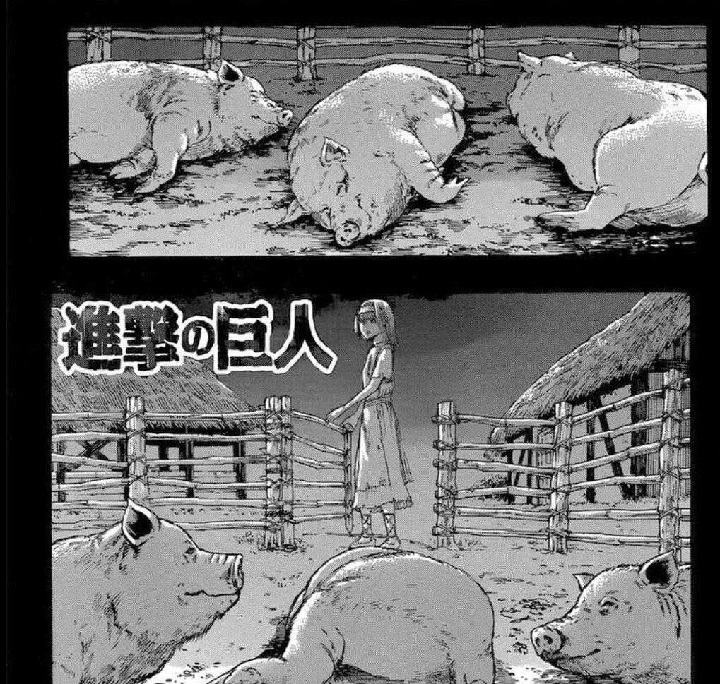 Nahkan goblok, babinya dilepas