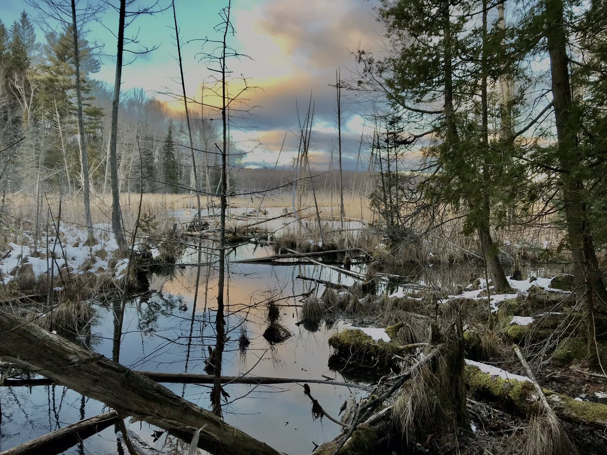 eugene_vin's tweet photo. Required to make a #wine delivery in the near #north I #hiked a trifle @FriendsofAwenda #Awenda @OntarioParks #penetanguishene #Ontario https://t.co/M0Jeac6mhj