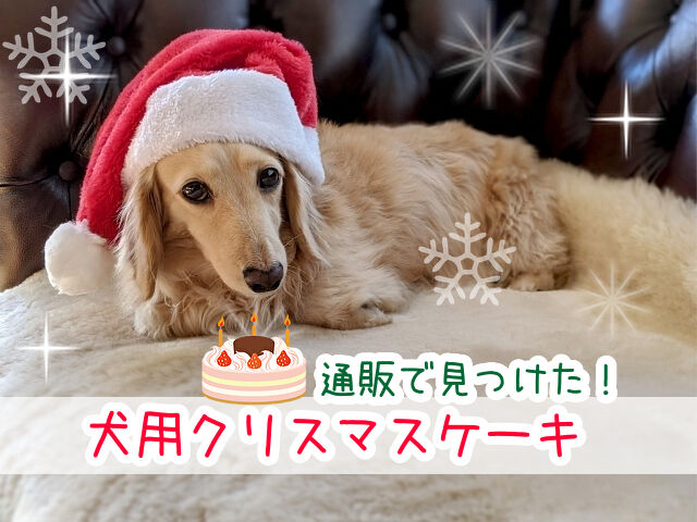 関西 わんこ Kansaiwanko Twitter