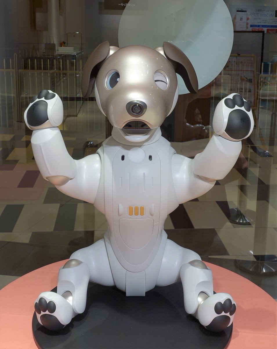 AIBOのリモコンとAIBOのPerformer AIBO Performer 1.1 【AIBO ware1.1メモリー付】 - メルカリ