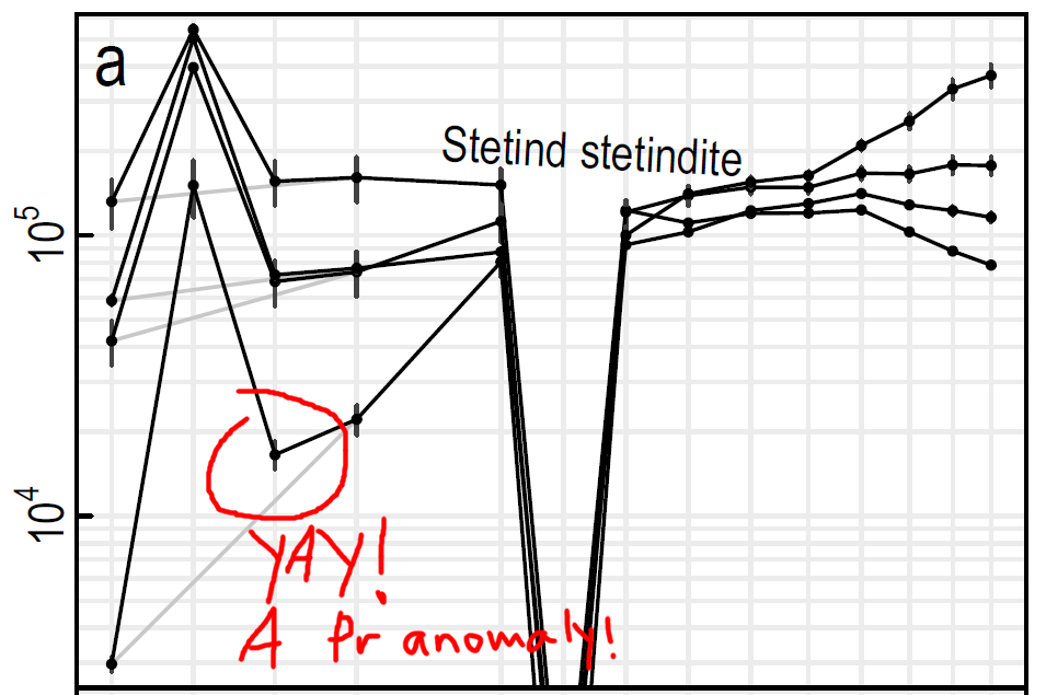 Then, we thought that stetindite itself might have a Pr anomaly! We contacted the Norwegians who found it first, then we found some in our own rocks here in Australia. And we did find that in some cases, Pr is more than it should be!
