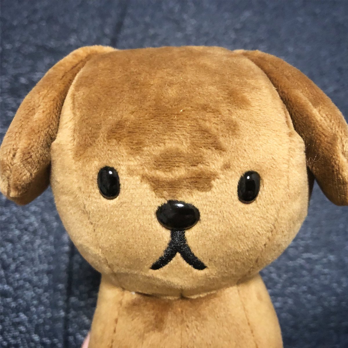 うんこくんファミリー Pa Twitter あにけつ のキスマーク 2 飼い主が あにけつのお鼻にブチューしたらキスマーク がついてしまいました まんまくちびるの形です ミッフィー ミッフィー好き スナッフィー Miffy いぬ ぬいぐるみ好き うんこくんファミリー Pa Twitter あにけつ のキスマーク 2 飼い主が あにけつのお鼻にブチューしたらキスマーク がついてしまいました まんまくちびるの形です ミッフィー ミッフィー好き スナッフィー Miffy いぬ ぬいぐるみ好き