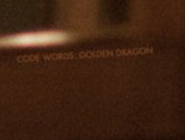 cocomini7's tweet photo. @007 GOLDEN DRAGON https://t.co/ytXlGdkr5k