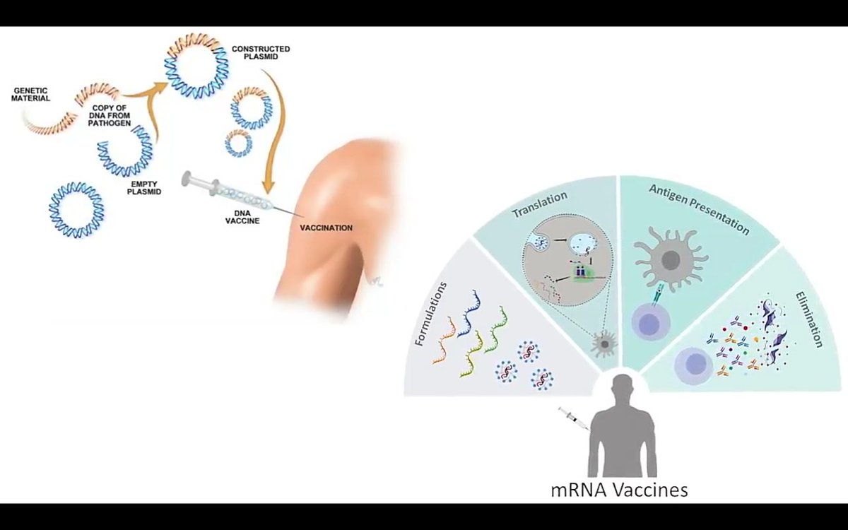 The implications of these results for the net public health effects of whole-population vaccination and with respect for informed consent on human health are compelling