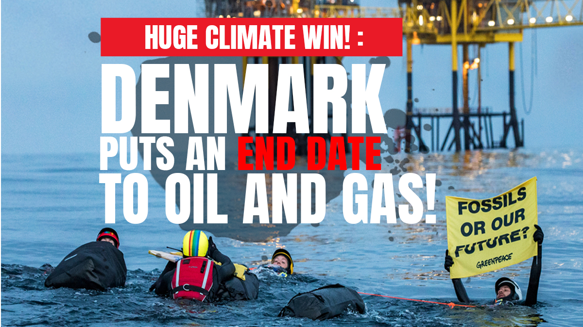 Greenpeace UK tweet media