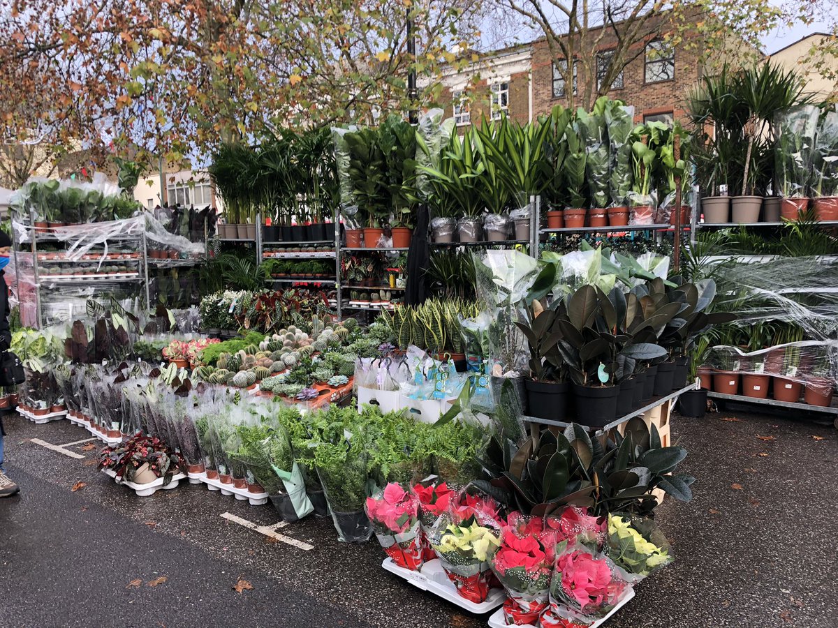 fostersbookshop's tweet image. It’s the @ChiswickFlowers again today, and we’ll be open until 4pm. I’ve got a couple of boxes of gardening books that are £4 each to boot. #W4 #Chiswick