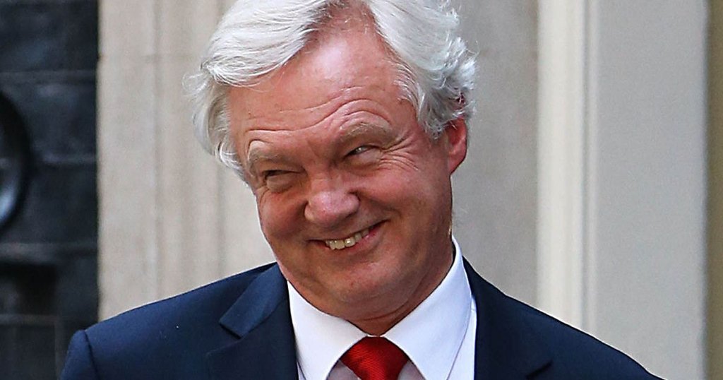 ivanwhite48's tweet image. "I believe that we can get a free trade and customs agreement concluded before March 2019." (David 'thick as mince' Davis, January 2017)

#BrexitDeal