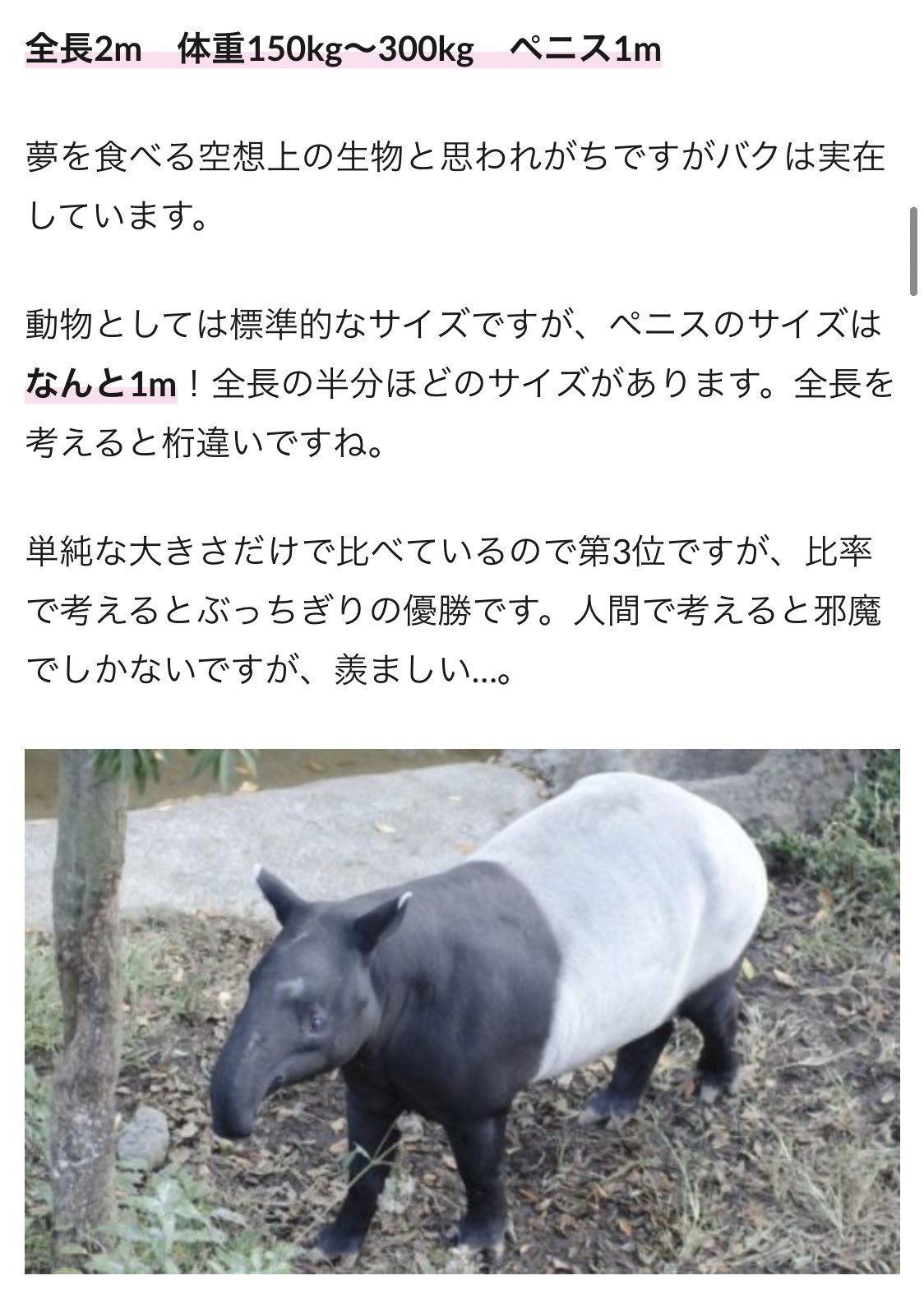 おならたっくんチャンネル 動物のチンコの長さが気になって調べたら バグのチン長 身長の半分もあって草 T Co S71updyybq Twitter