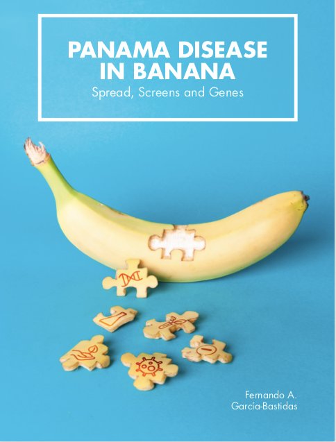 DrBananaGarcia's tweet photo. 4000 😍, time for an reintroduction.

Colombian in the NL. Researcher (plant health/breeding) for ~15 y. 
1st on #CoffeeRust, since 2012 on bananas &amp; #panamadisease 

I'm also consultant on #TR4 diagnostics &amp; content creative creator (#SciComm &amp; Fun)

Thanks again❤🍌

LinkBio https://t.co/QEuO6R3J17