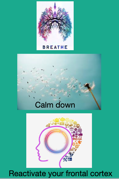 Then 1) start breathing or do some mindfulness exercises. This will calm your amygdala and deactivate it. 13/n