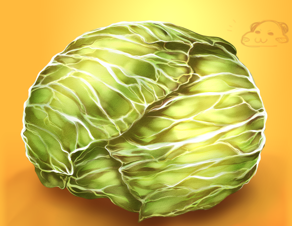 パンダ ヒロ 手書きキャベツ 血迷って背景透過素材も作ったのであなたの作品にキャベツ成分がほしい時にそっとお使い下さい T Co Wmxcfuimim Twitter