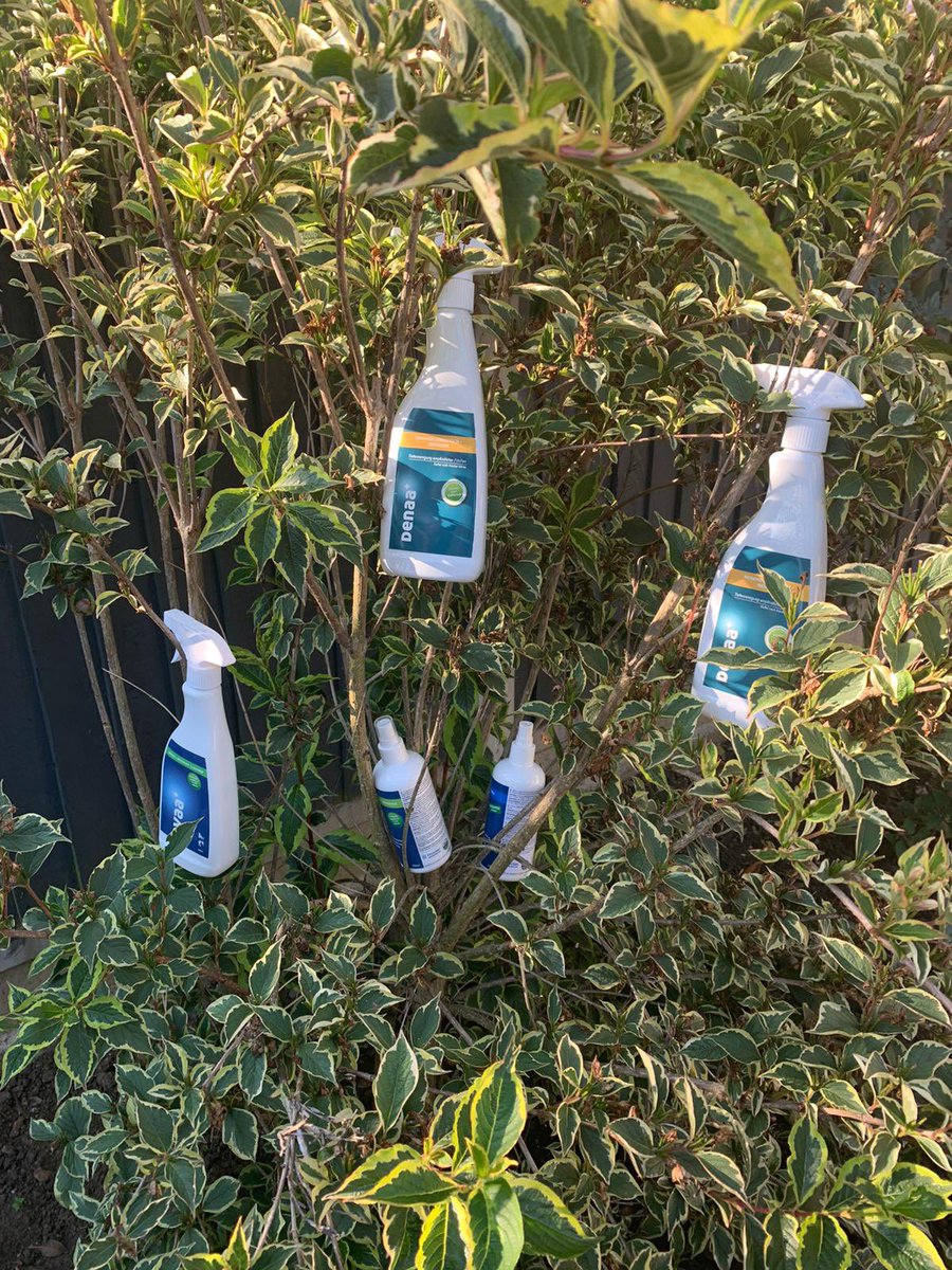 ST Extreme Cleaning tweet media