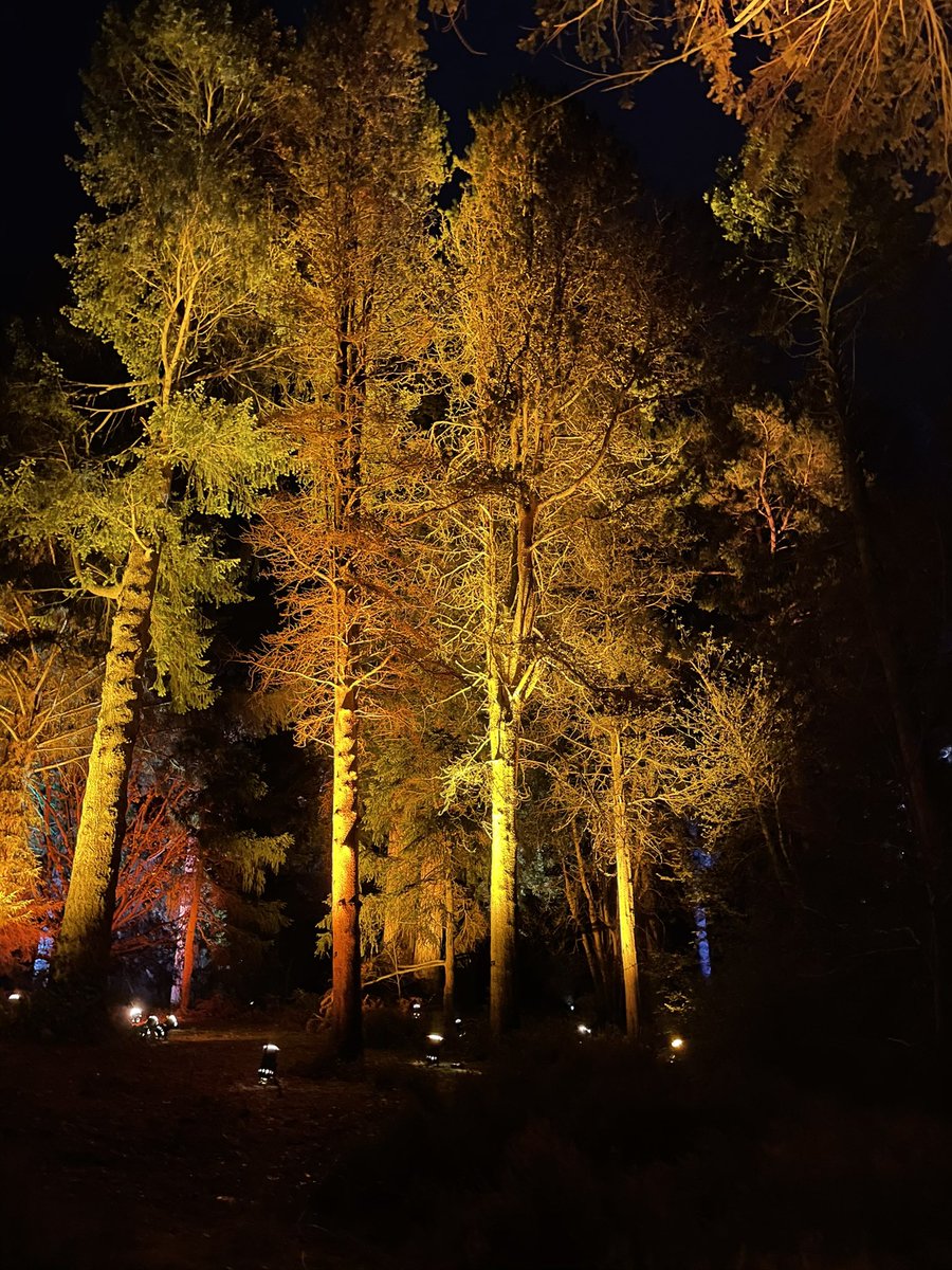 Fantastic evening out last night with the family. Nice to do something other than stay in the house! Highly recommended #ChristmasAtBedgebury