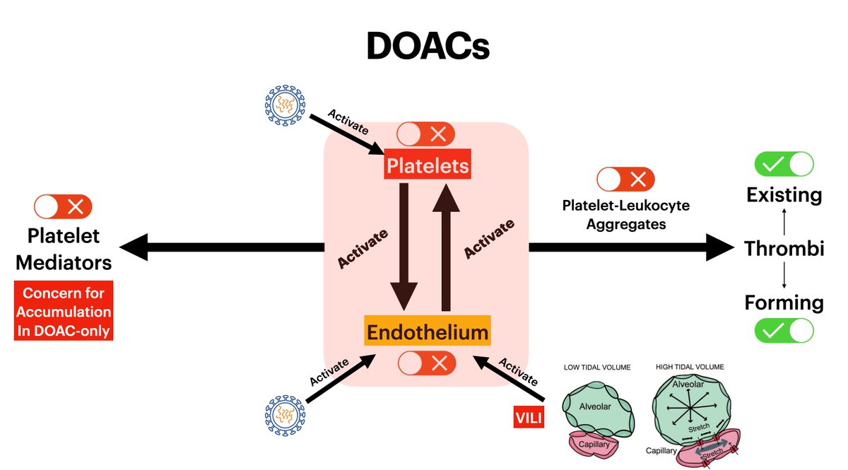 DOAC montherapy reduces the burden of existing and forming thrombi. But it will *𝗻𝗼𝘁* exert endothelial stabilization effects that would be present with heparin.𝗣𝗹𝗮𝘁𝗲𝗹𝗲𝘁 𝗺𝗲𝗱𝗶𝗮𝘁𝗼𝗿𝘀 𝗺𝗮𝘆 𝗮𝗰𝗰𝘂𝗺𝘂𝗹𝗮𝘁𝗲, including serotonin and angiogenic factors.