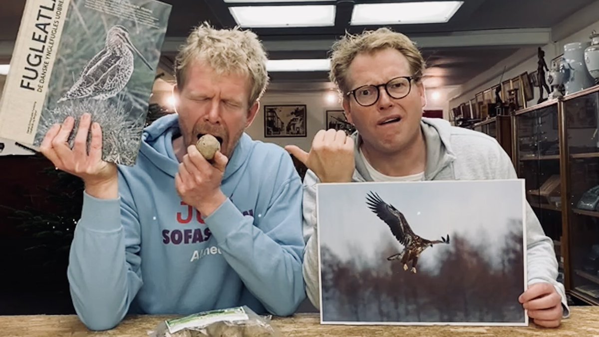 6. december! Selveste Sebastian Klein er gæst. Jeg spiser en fuglekugle, Sebastian fortæller om den flyvende dør og vi folder en julefugl. Og Ruth-Violas far får for alvor vist sine kvaliteter. 

📺: youtube.com/c/ALlNEA 
#sofaskolen #skolechat