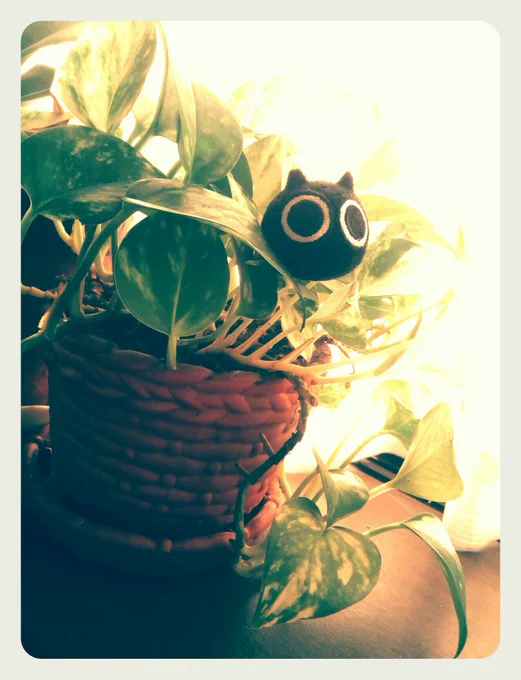 ヘイショ… 