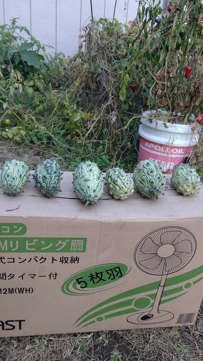 きたろう Kazu Kazu Twitter