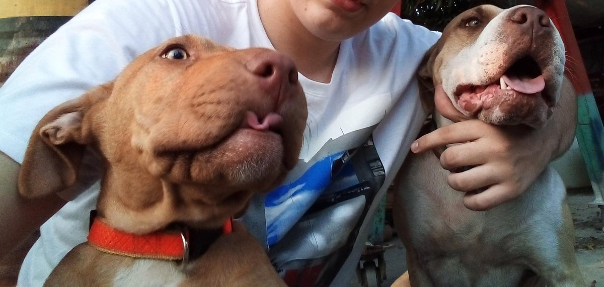 Sullivan30201's tweet photo. @LauGamerCO Son ellos ❤️ https://t.co/X7uxCY4vwB