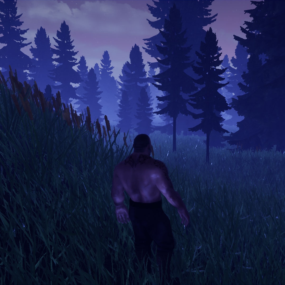 bearpunk_'s tweet image. A final screen shot of atmospheric work, for now. Next up.... AI

#vectorinteractive #projectunicorn #bobneedsafriend