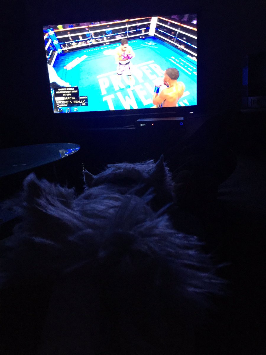 MsFightLady's tweet image. The Babies and I on #SpenceGarcia😘#boxing #Keepin’ItReal🥊