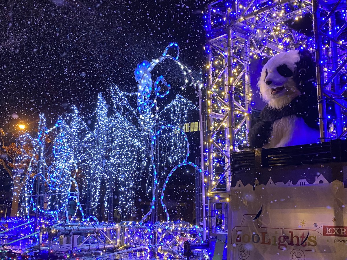 AllisonInDC's tweet photo. @PepcoConnect Thanks for a lovely evening! Our family was happy to keep the #ZooLights tradition alive! https://t.co/loZ2VfTt2B