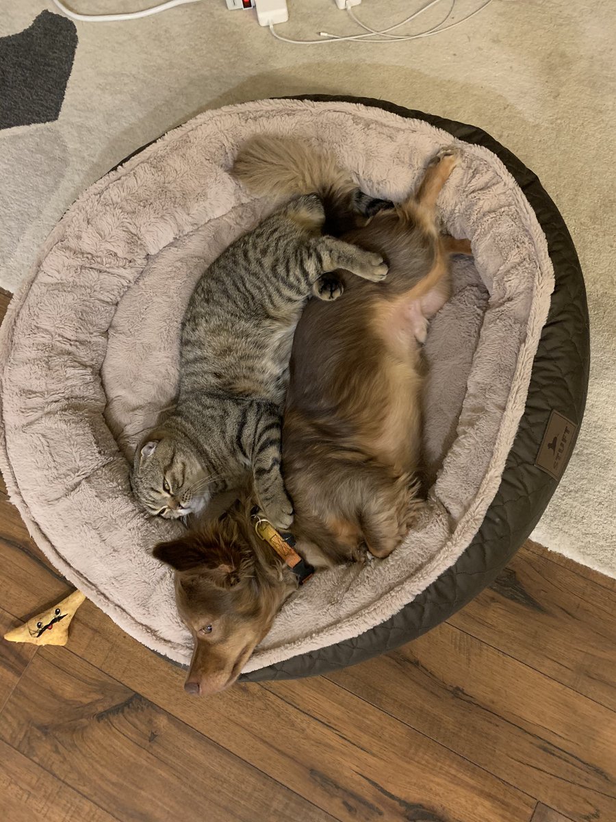 mylesdfatty's tweet photo. Brothers https://t.co/rOrjPWrItI
