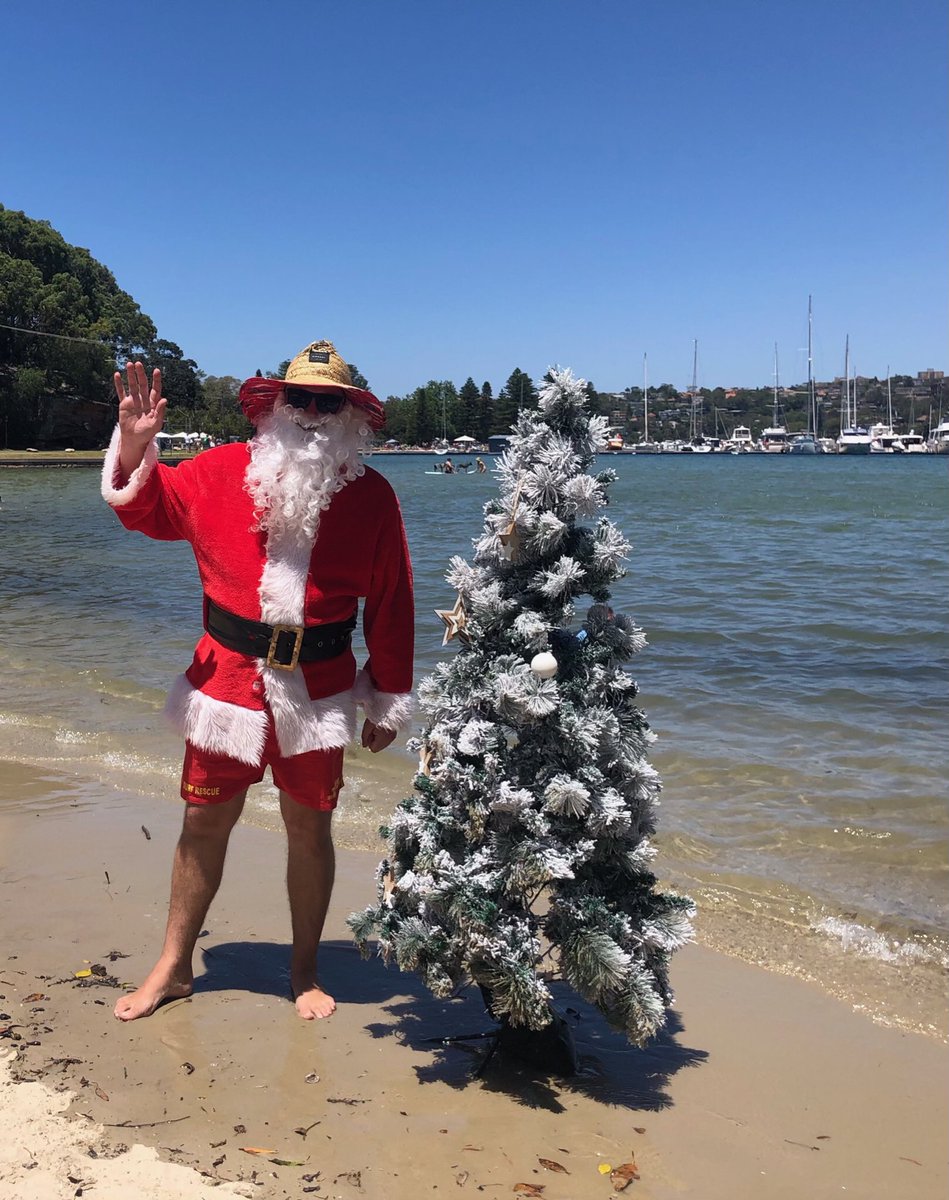 夏場にクリスマスを迎えるオーストラリアはどんな感じ サンタはサーフボードに乗ってやってくる クリスマスツリーを荒らすのがネコじゃなくてコアラ 連載jp