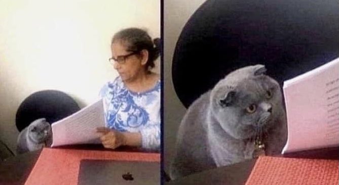 HR showing me all my social media posts about how much I hate my job: