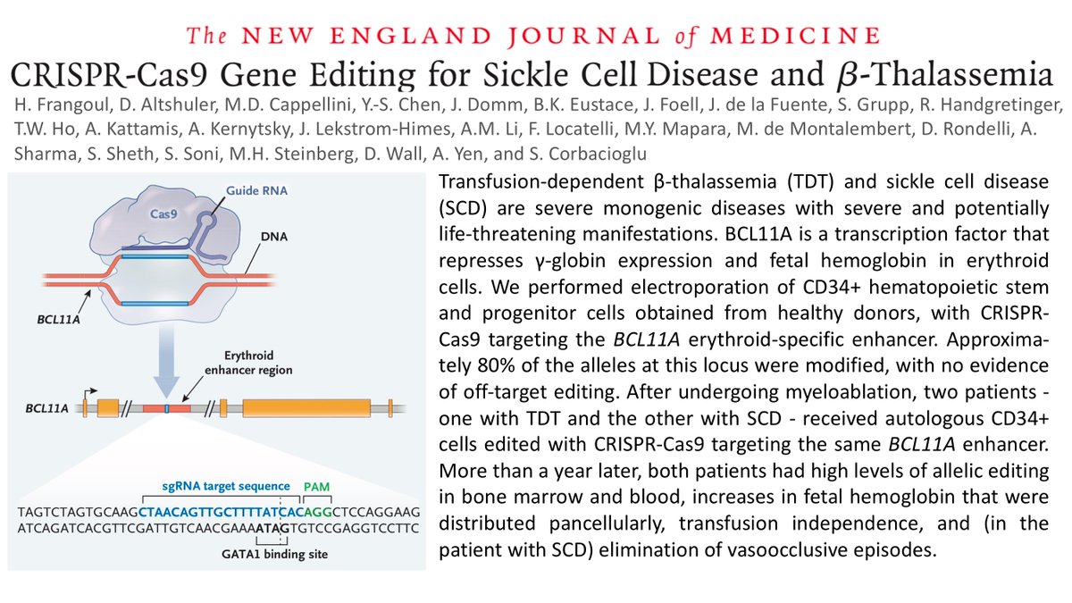 Successful CRISPR-Cas9-based gene editing therapy for sickle cell disease and ß-thalassemia by international team led by Selim Corbacioglu (Regensburg) reported in the <a href="/NEJM/">NEJM</a> (nejm.org/doi/pdf/10.105…). Major accomplishment just few days before the CRISPR-Cas9 Nobel ceremony.