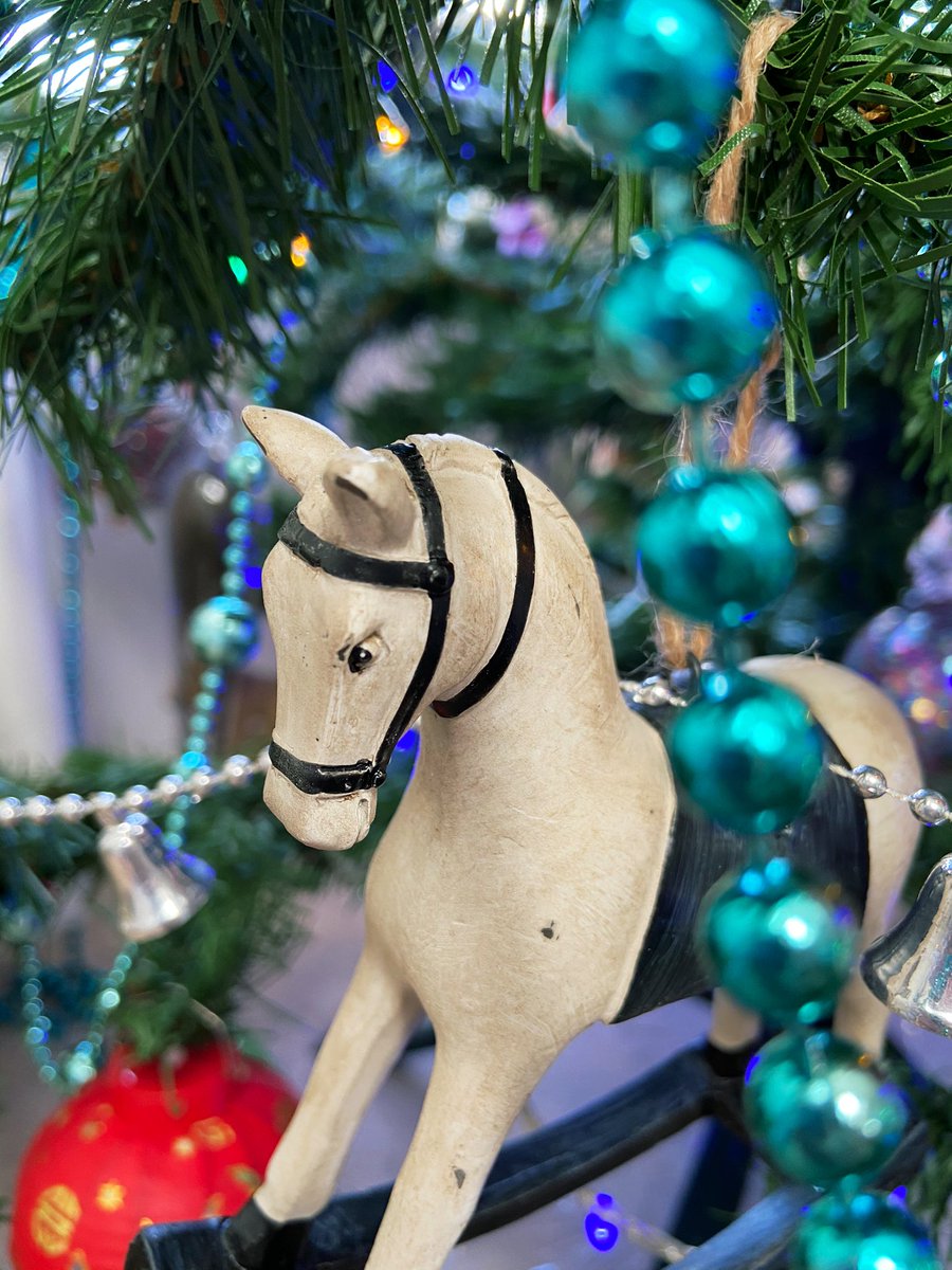 Got this one today too. I think he’s beautiful! (There needs to be a rocking horse emoji.)