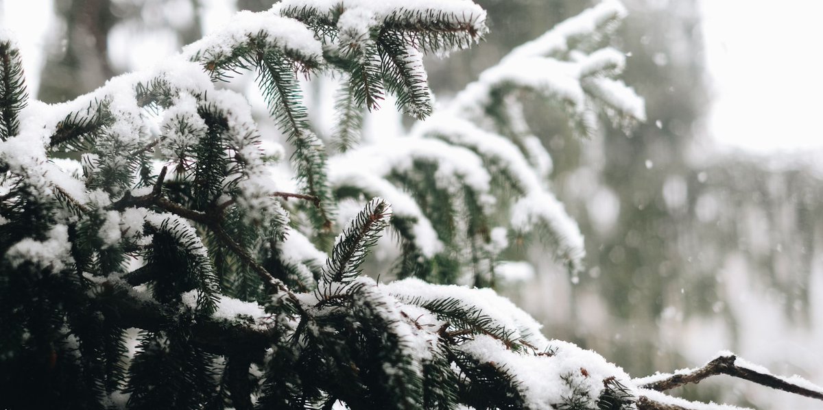 "Advice is like the snow. The softer it falls, the longer it dwells upon and the deeper it sinks into the mind.” Samuel Taylor Coleridge

#snow photograph via <a href="/metoffice/">Met Office</a> 
#advice #absorb