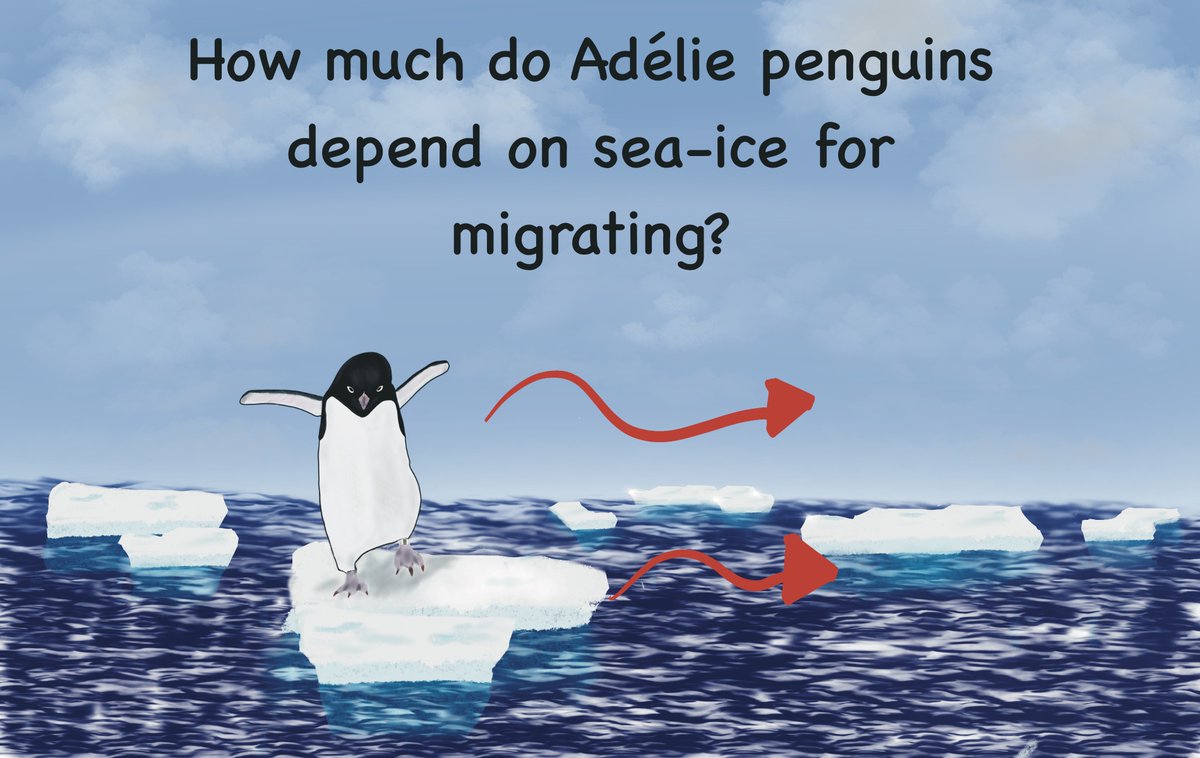sfsuscicomm's tweet photo. We're premiering our #3minthesis videos where you can find out things like the connection between #penguins and sea-ice, as told by @Jongsomjit, and other science stories! All at our #scicomm Showcase this Wed 12/9 @ 10am PST - More deets at https://t.co/Abz23RgE1o #sciart https://t.co/1MVgk9Ypqe