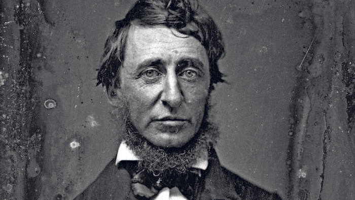 TheUncBlog's tweet photo. "Penso che dovremmo essere uomini prima di essere sudditi.
Non è da augurarsi che l'uomo coltivi il rispetto per le leggi ma piuttosto che rispetti ciò che è giusto.“
Henry David Thoreau
#disobbedienza #blog #citazioni https://t.co/Qnmcmwmi5Q