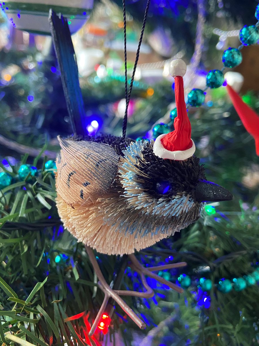 This one is an Australian blue fairy wren, which is my mum’s favourite bird. They’re really tiny, and fast, so it’s rare to see them. When I found these ornaments I had to get one for Mum too.