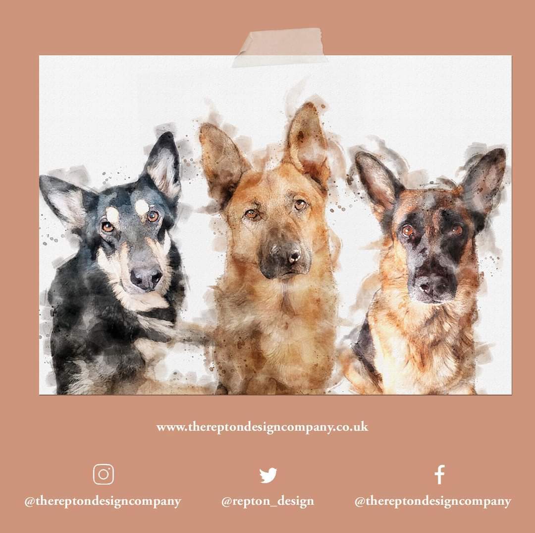 repton_design's tweet image. Finally a recent portrait I can share as it was a birthday gift! 😍 So there’s still time to order portraits in time for Christmas delivery! Order by 11th December latest.
#supportsmallbusiness #smallbuisness #petportraits #portraits #gifts #personalised #personalisedgift