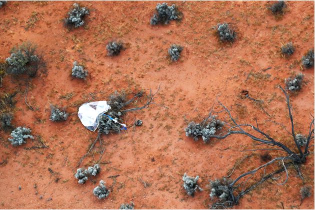 The capsule and parachute on the ground in Woomera ( JAXA): the parachute tangled with a bush which I think Project Manager Yuichi Tsuda said prevented it moving, making it was quite a lucky landing. It looks like a splatted jelly fish (in my highly professional opinion).