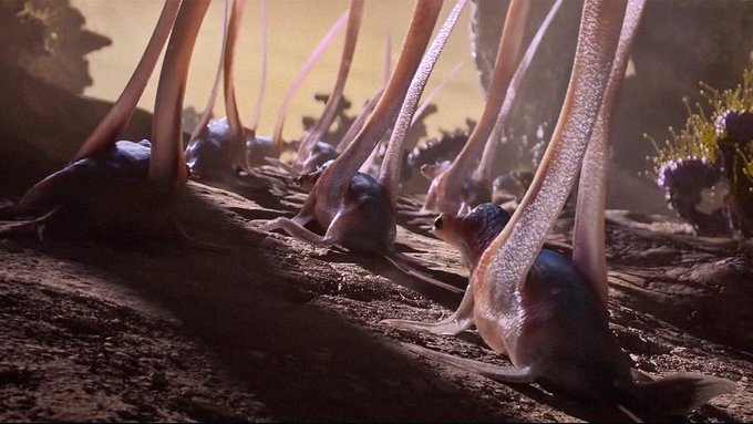 シネマ ン ドレイク 池袋humaxシネマズ ヒューマックスシネマ Humax Cinema 映画館 Amp Petmd Com
