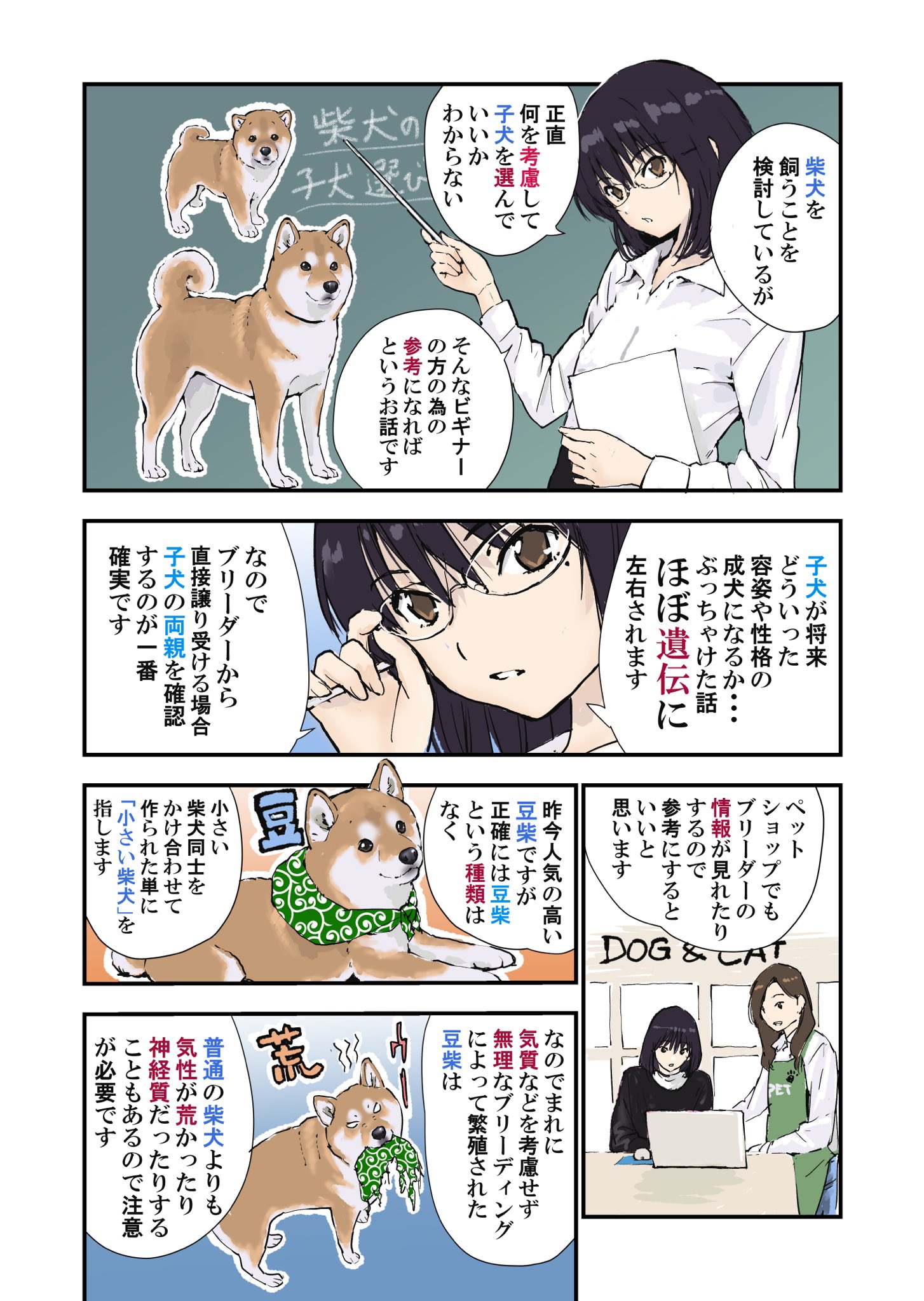 石原 雄 柴犬を飼うことを検討してる方へ 柴犬の子犬選びについての話 石原 雄 柴犬を飼うことを検討してる方へ 柴犬の子犬選びについての話